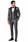 100-05 SILVER GREY SHINNY 3 PC